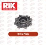 Drive Dry Plate CD70 RIKEN